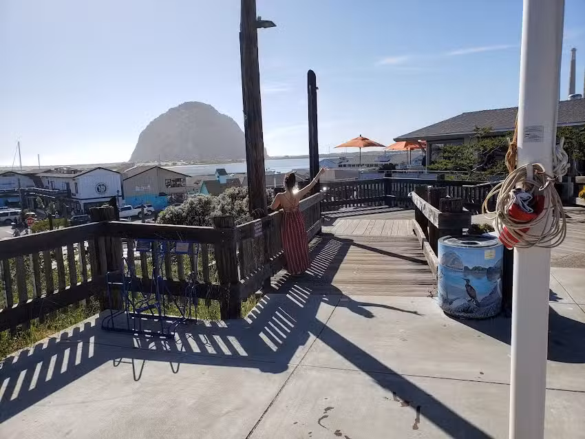 Lost Isle Adventures Harbor Tours & Whale Watching