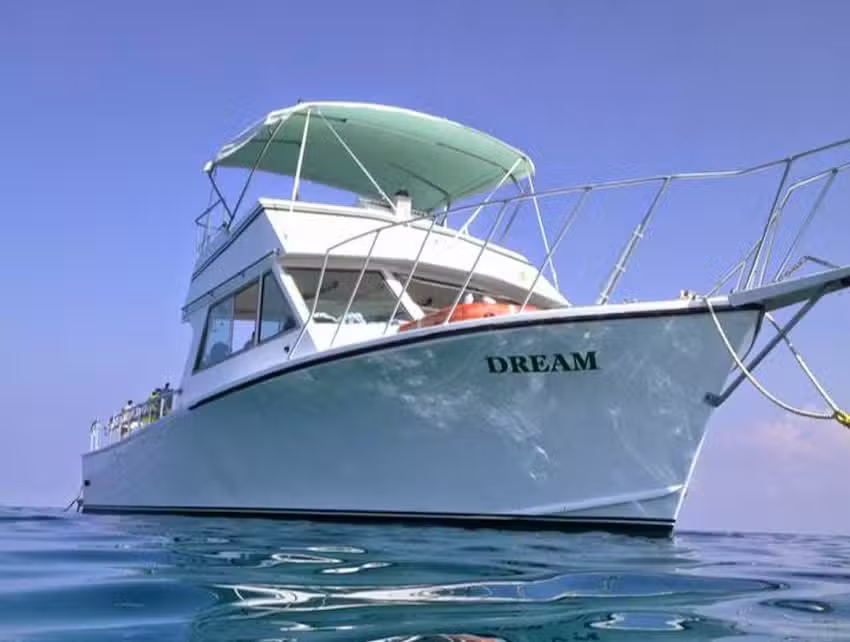 Lost Reef Adventures