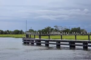 Low Country Drifters