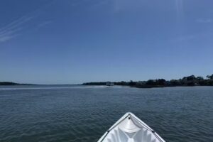 Lowcountry Watersports | Hilton Head Dolphin Tours, Boat Tours, & Jet Ski Rentals