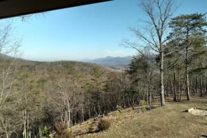 LTD Vacation Property Group