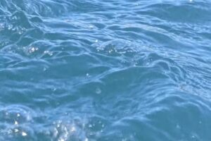 Lu&rsquo;uwai&rsquo;s Makena Landing