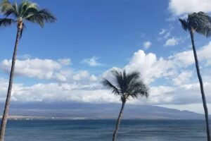 Luana Moana Signature Oceanfront Maui