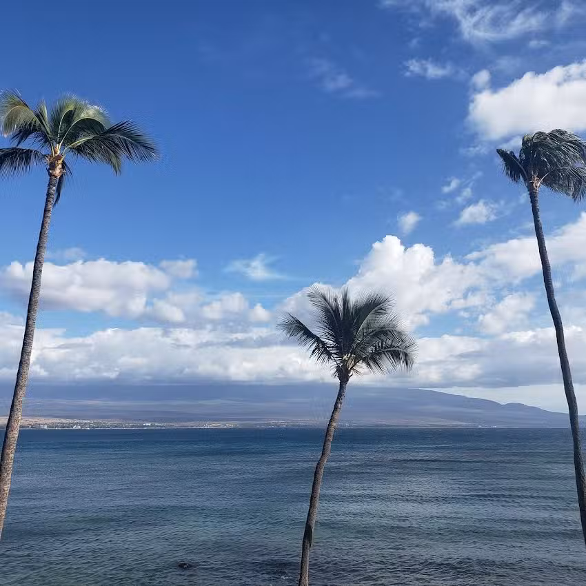 Luana Moana Signature Oceanfront Maui