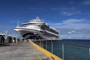 Luxury Journey Travel – A Division Of Travels By Nancy