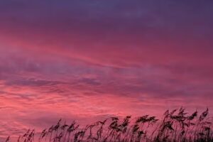 Luxury Lodging by Laura