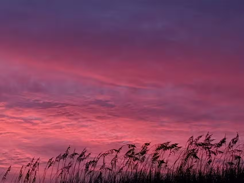 Luxury Lodging by Laura