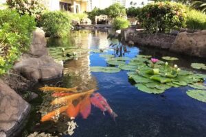 Luxury Retreat Hawaii