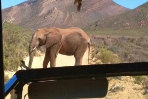 Luxury Tours & Cruises