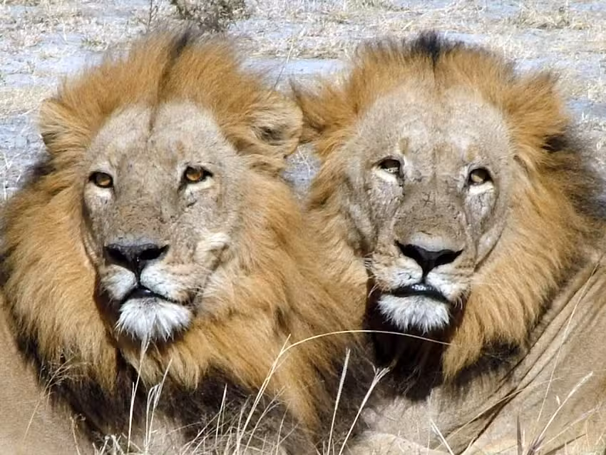 Luxury Travel and Beyond