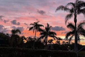 Lynette Owens & Associates