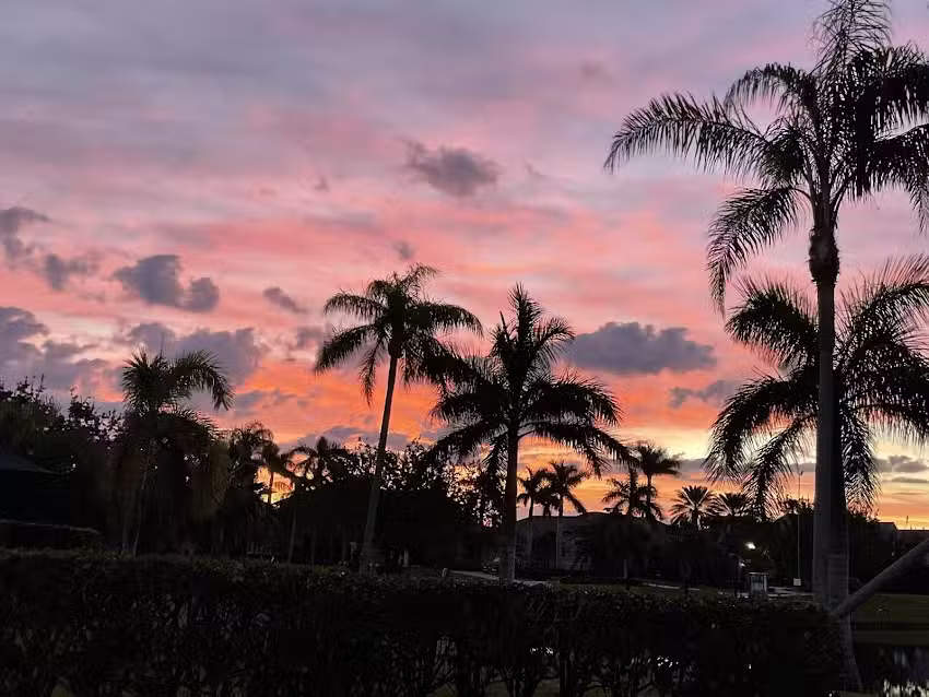 Lynette Owens & Associates