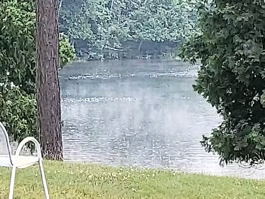 Lynx Lake Resort & Bar