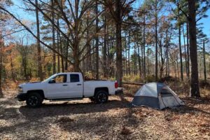 M8 Treehouse and Cabins