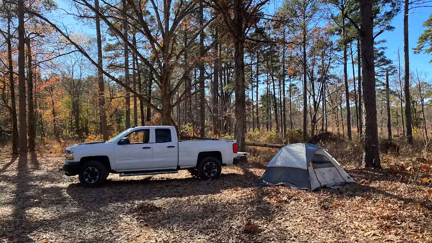 M8 Treehouse and Cabins