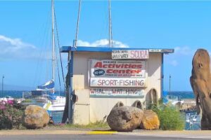 Maalaea Harbor Activities