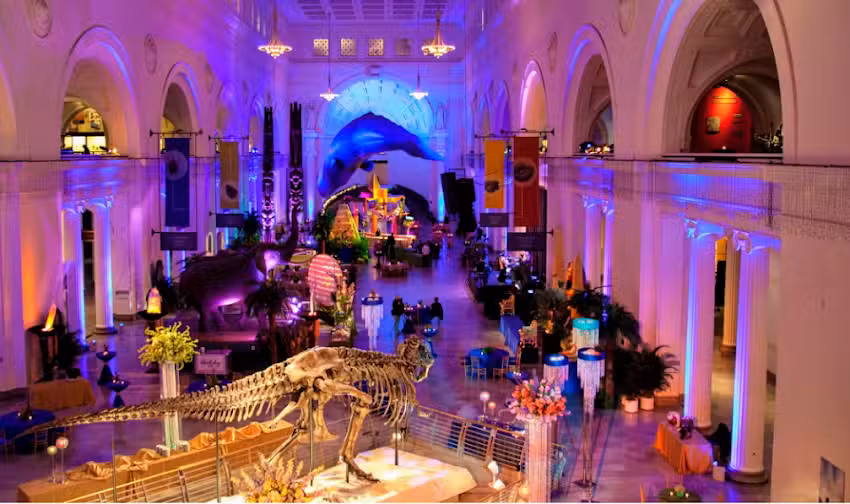 Mad Destinations Southern Gulf Coast