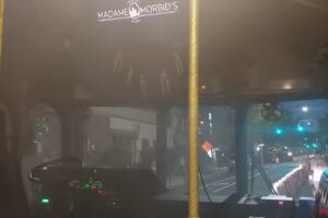 Madame Morbid’s Trolley Tours