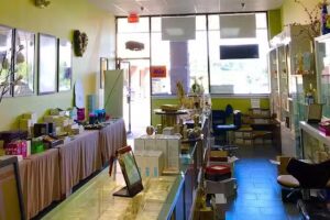 Madison Travel & Multi Services