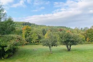 Magic Falls Rafting Co.