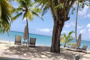 Magical Island Tours and Travel LLC