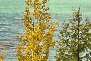 Magical Moments Vacations By Katie Erturk