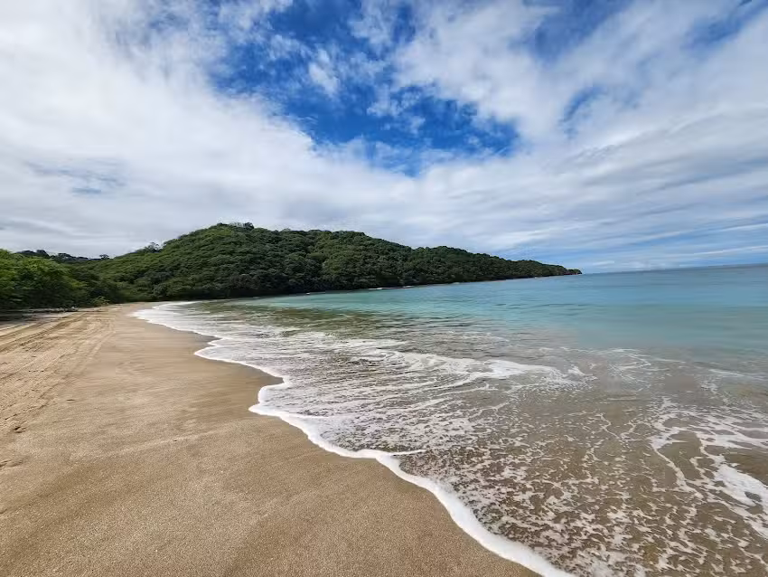 Magical Travel by Amber Hester &ndash; Travel Agent