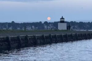 Mahi Harbor Cruises & Private Events