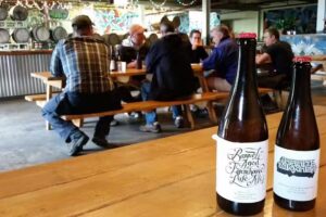 Maine Brews Cruise (Portland Explorer)