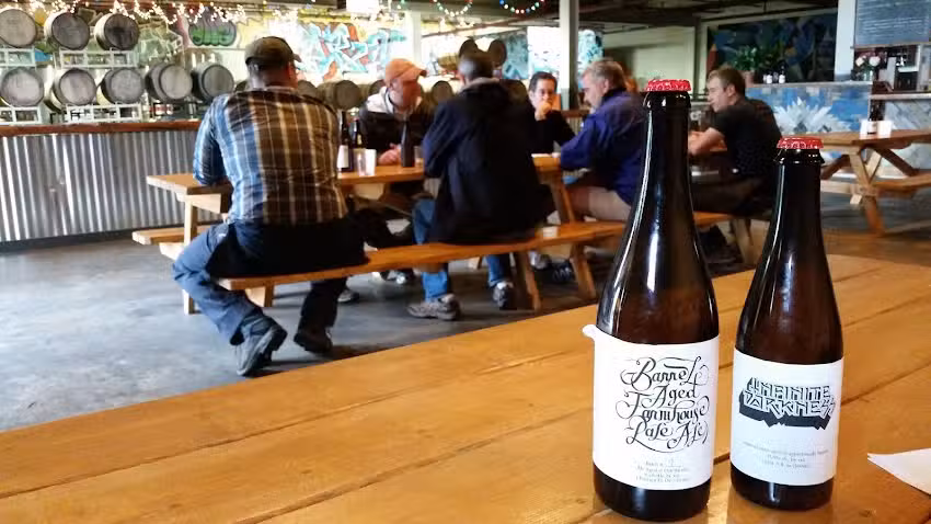 Maine Brews Cruise (Portland Explorer)