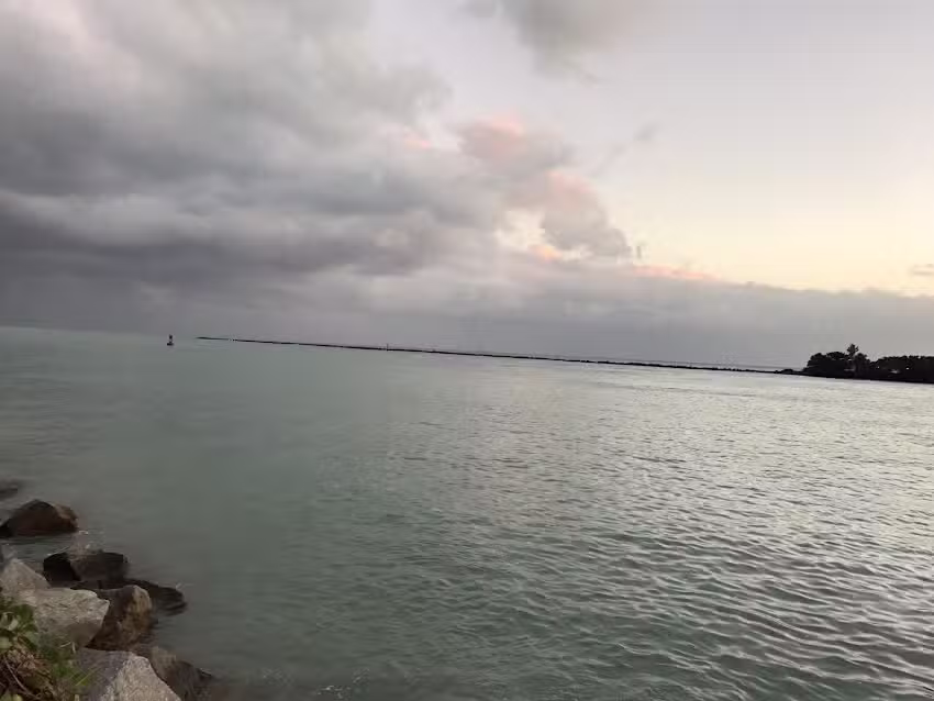 Majesty Travel Group