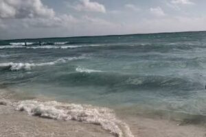 Making Memories by Morgan: Destination Weddings & Travel Agency