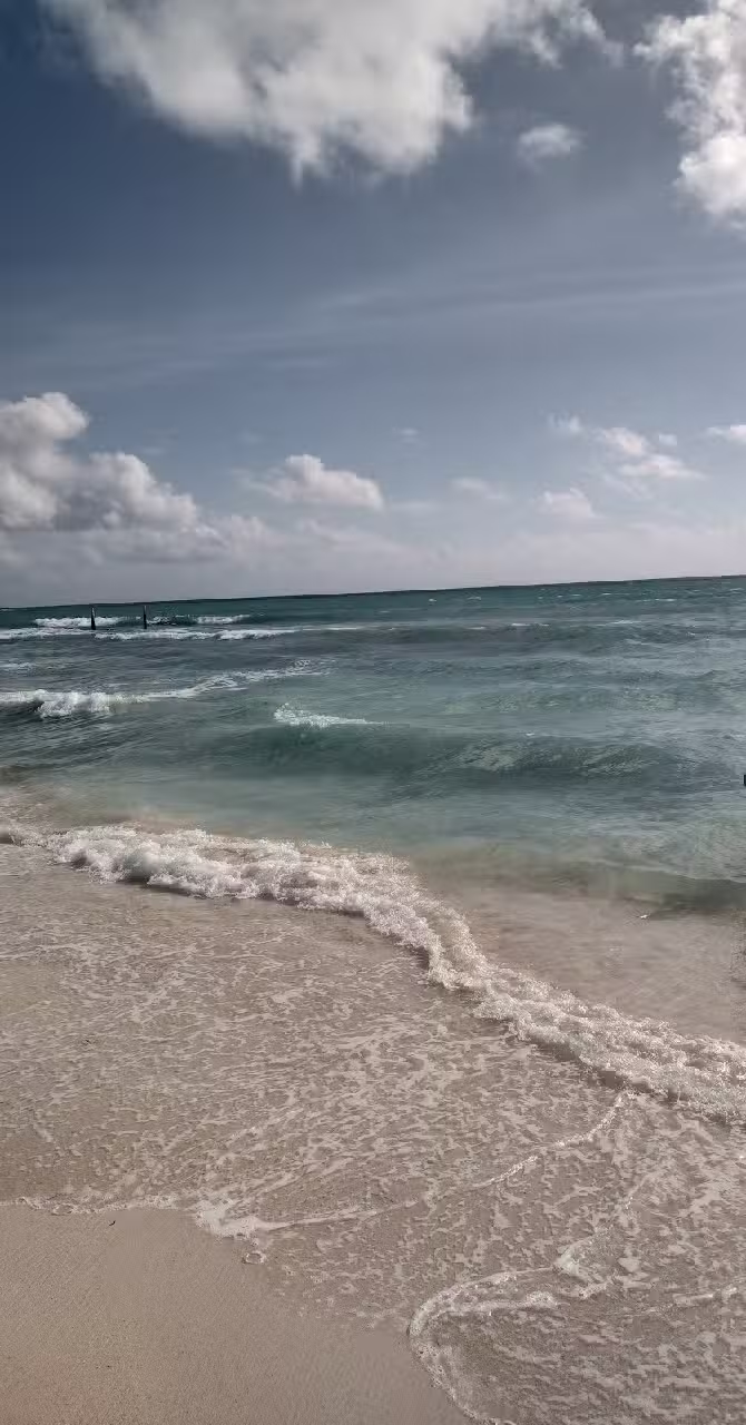 Making Memories by Morgan: Destination Weddings & Travel Agency