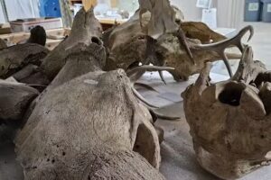 Makoshika State Park Visitor Center