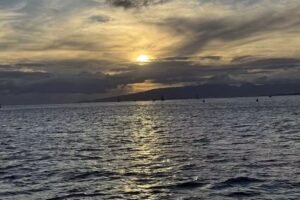 MANA Cruises + Charters