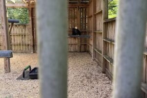 Manor Area Visitor Center