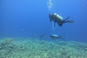 Manta Ray Dives of Hawai‘i