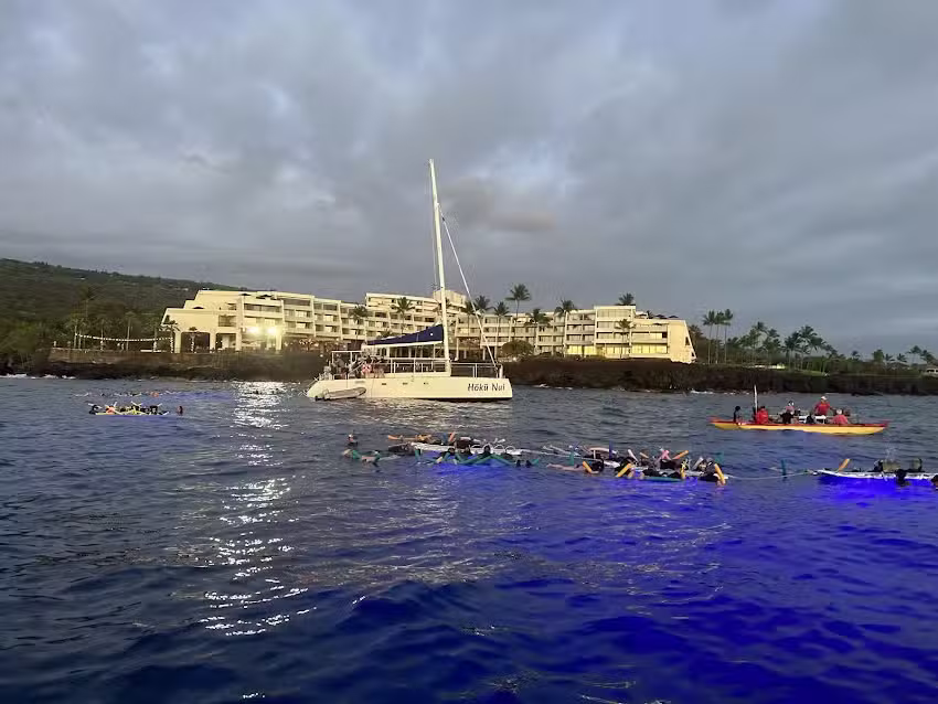 Manta Ray Night Snorkel