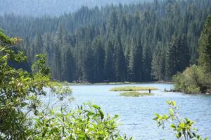 Manzanita Lake Camping Cabins