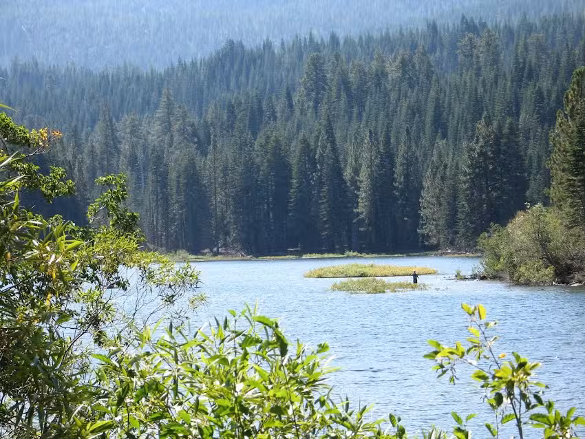 Manzanita Lake Camping Cabins