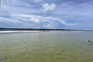 Marathon Mermaid Charters