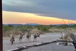 Marathon Mountain Adventures