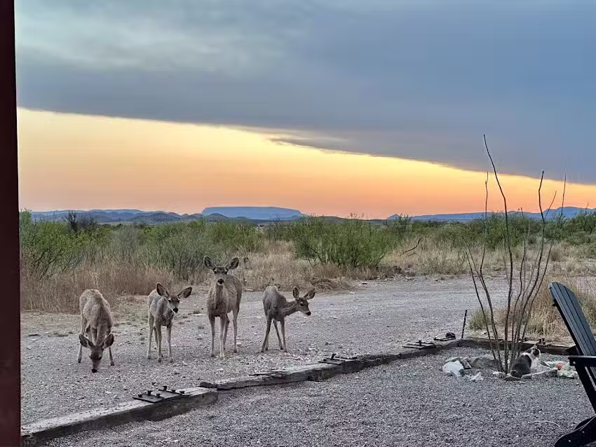 Marathon Mountain Adventures