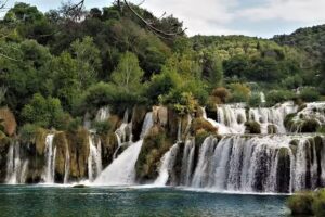 Marc Bokoff – Cruise Planners