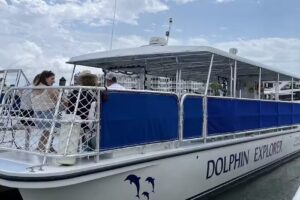 Marco Island Dolphin Tour
