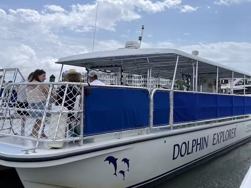 Marco Island Dolphin Tour