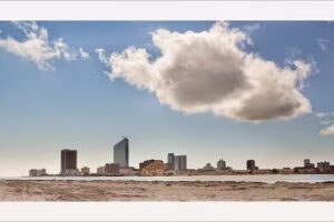 Maria Sacco Handle | The Shore House Team