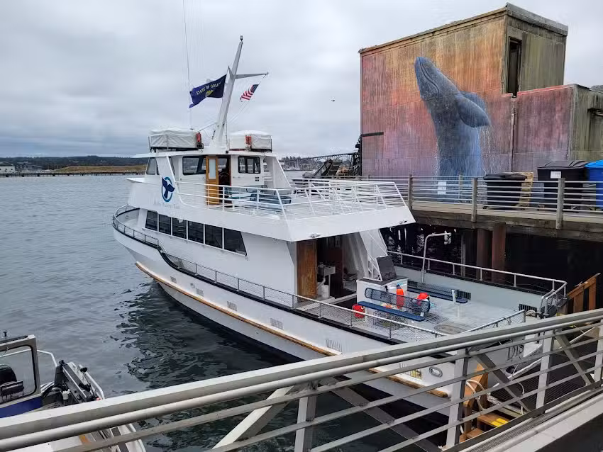 Marine Discovery Tours