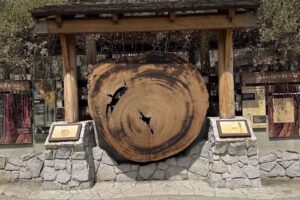 Mariposa Grove Welcome Plaza