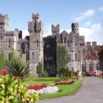 Market Street Travel LLC